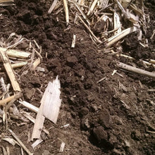 Load image into Gallery viewer, The Closer (Wheels Only)